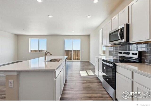 909 Harvard St, Johnstown, CO 80534 - kitchen featuring wood finished floors, light countertops, tasteful backsplash, a sink, and stainless steel appliances