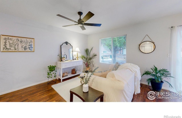 living room with ceiling fan and dark hardwood / wood-style floors