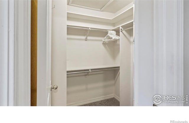 view of spacious closet