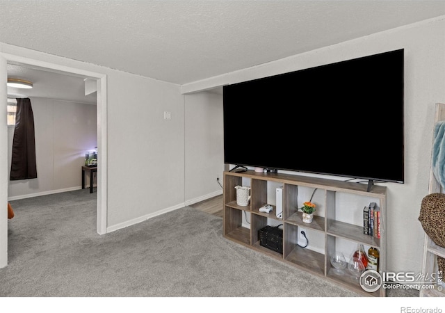 carpeted living room with a textured ceiling