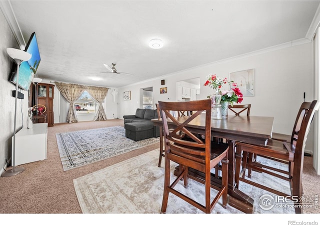 dining room with ceiling fan, carpet, and ornamental molding