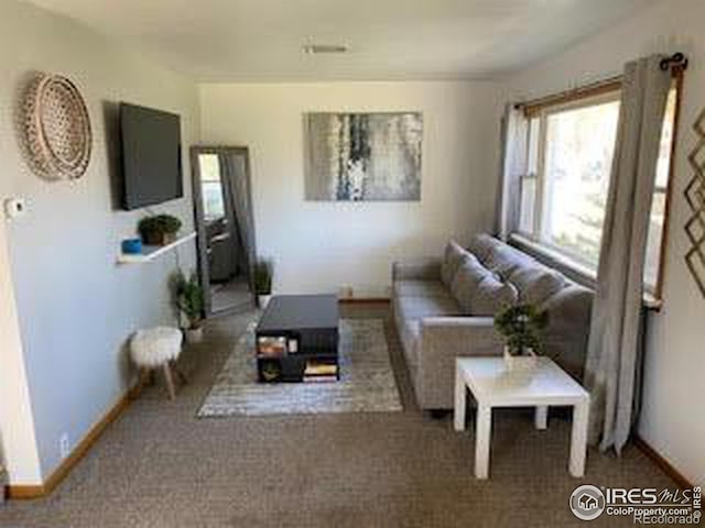 living room with carpet floors