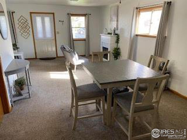 dining room with carpet floors