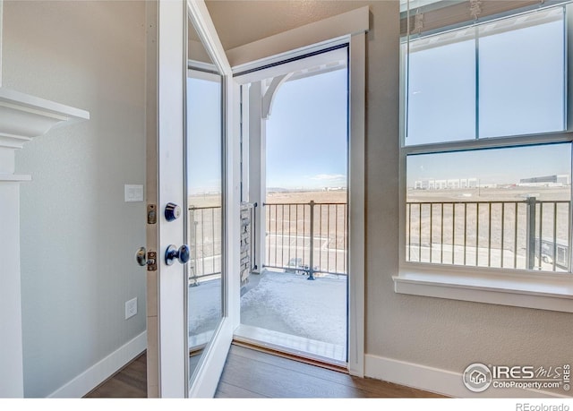 doorway to outside featuring dark hardwood / wood-style flooring