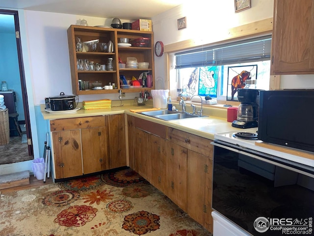 kitchen featuring sink, dark hardwood / wood-style floors, and white electric stove