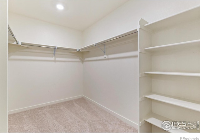 spacious closet featuring carpet flooring