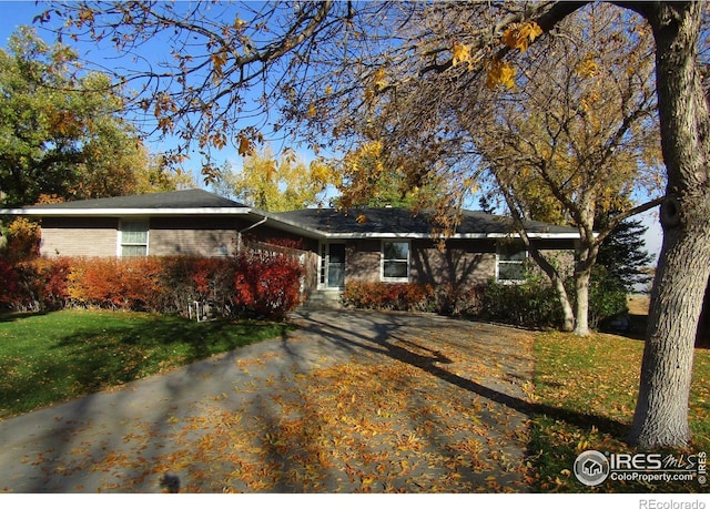 ranch-style house with a front yard