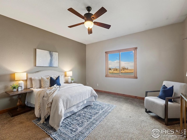 8905 County Road 80.5, Fort Collins, CO 80524 - photo 17