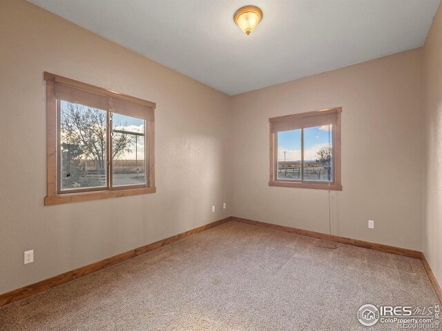 8905 County Road 80.5, Fort Collins, CO 80524 - photo 21