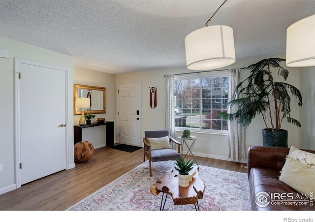 living room featuring hardwood / wood-style floors and a textured ceiling