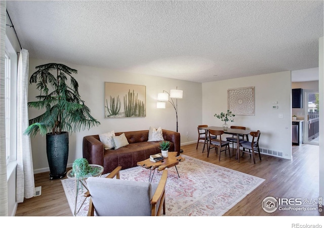 living room featuring hardwood / wood-style floors and a textured ceiling