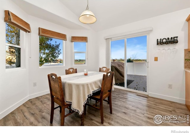 dining space with hardwood / wood-style floors, vaulted ceiling, and plenty of natural light