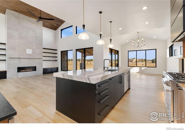 kitchen featuring stainless steel range, sink, hanging light fixtures, a large island with sink, and light hardwood / wood-style floors