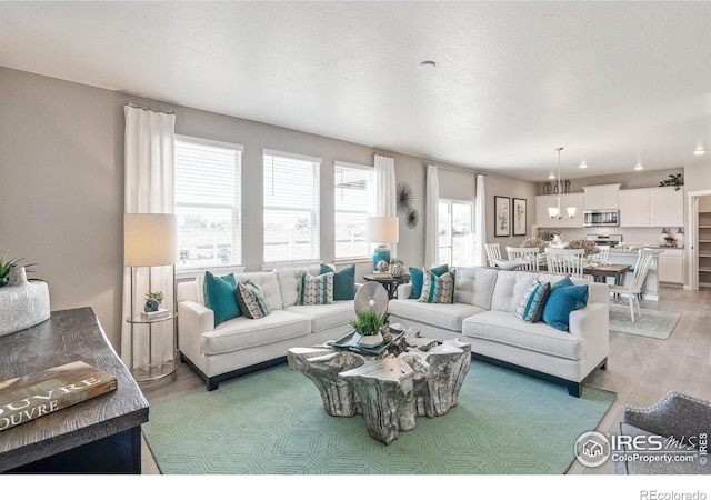 living room with a textured ceiling and light hardwood / wood-style flooring