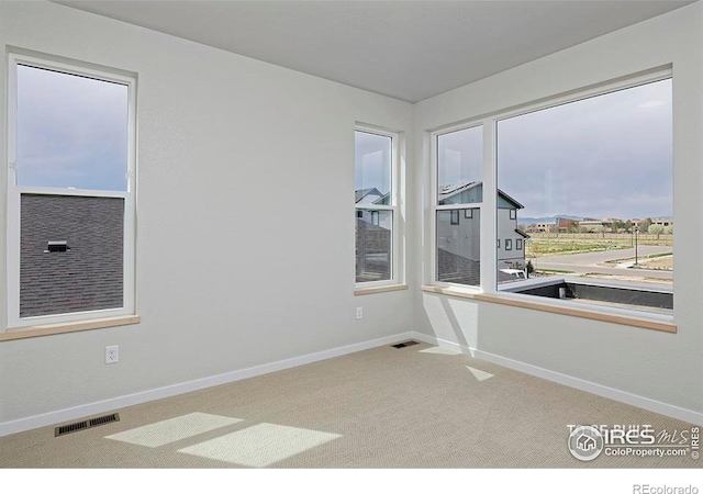 unfurnished room featuring carpet floors and plenty of natural light