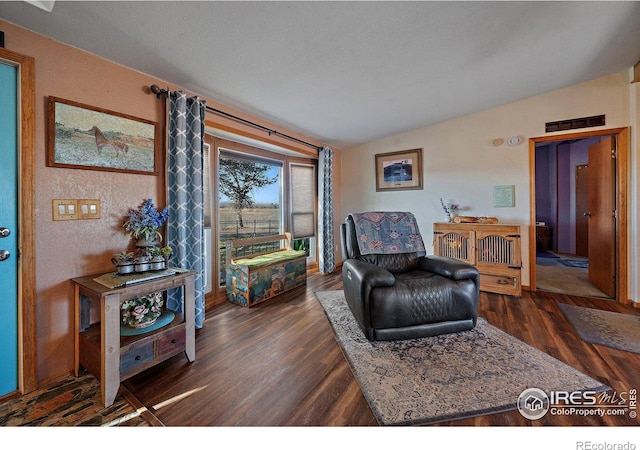 living room featuring dark wood-type flooring and vaulted ceiling