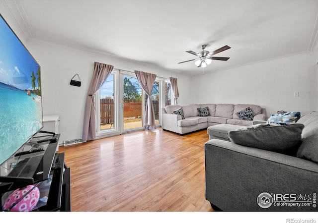 living room featuring hardwood / wood-style floors, ceiling fan, and ornamental molding