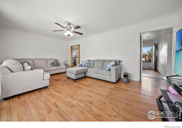 living room featuring ceiling fan, light wood-type flooring, and crown molding