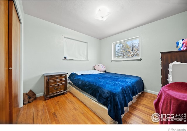 bedroom with hardwood / wood-style floors and a closet