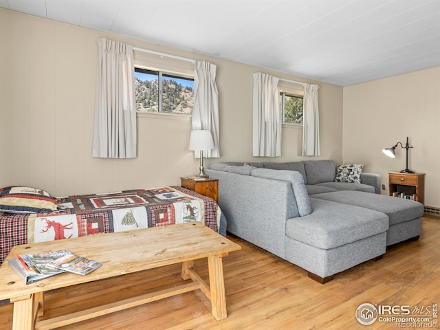 living room with hardwood / wood-style floors