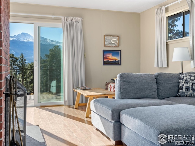 living room with a mountain view and light wood-type flooring