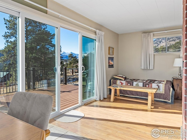 doorway with hardwood / wood-style floors and a wealth of natural light