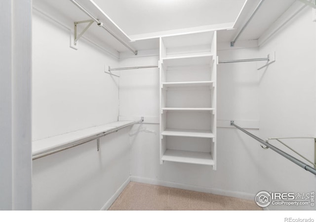 3313 N Franklin Ave, Loveland, CO 80538 - photo 21