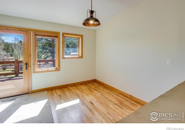 empty room featuring wood-type flooring