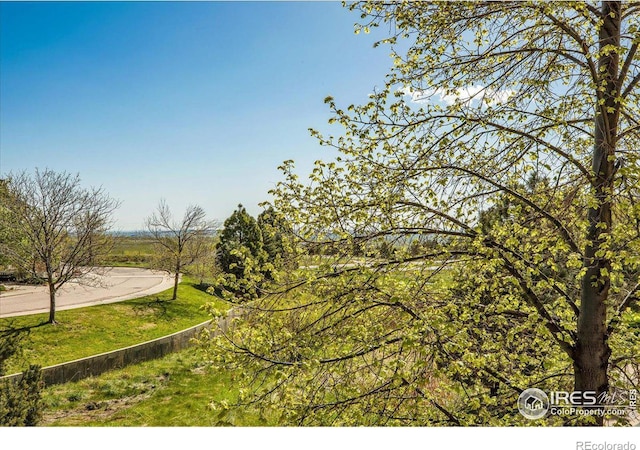 985 Laramie Blvd Unit C, Boulder, CO 80304 - view of yard