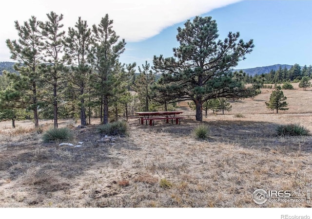 580 Saddle Notch Rd, Loveland, CO 80537 - view of yard featuring a mountain view