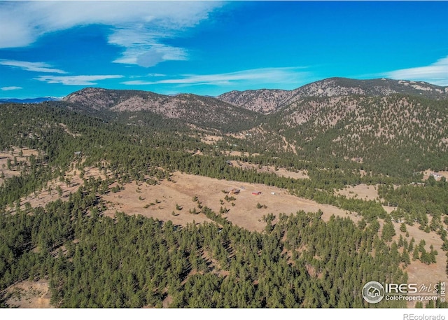580 Saddle Notch Rd, Loveland, CO 80537 - mountain view featuring a forest