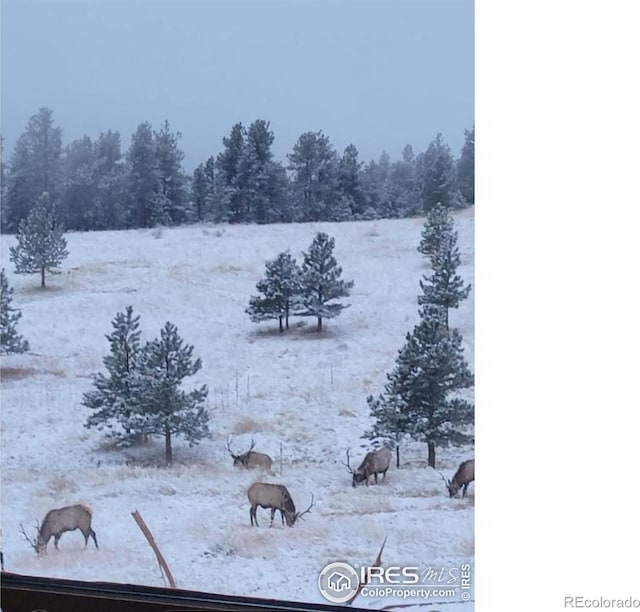 580 Saddle Notch Rd, Loveland, CO 80537 - snowy yard with a view of countryside