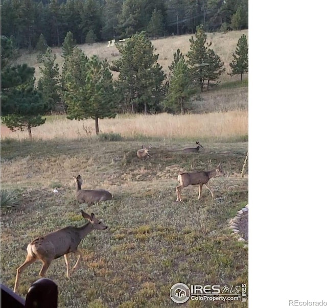 580 Saddle Notch Rd, Loveland, CO 80537 - view of yard with a view of countryside