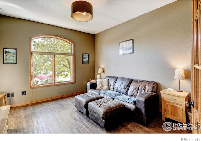 living room with light hardwood / wood-style floors