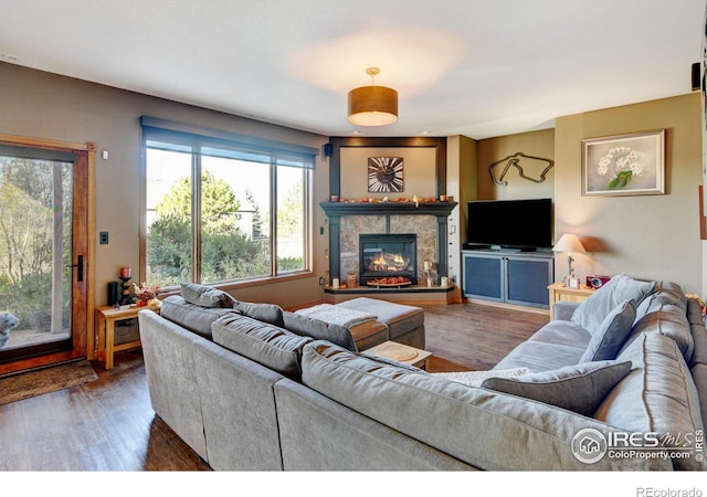 living room featuring dark hardwood / wood-style flooring