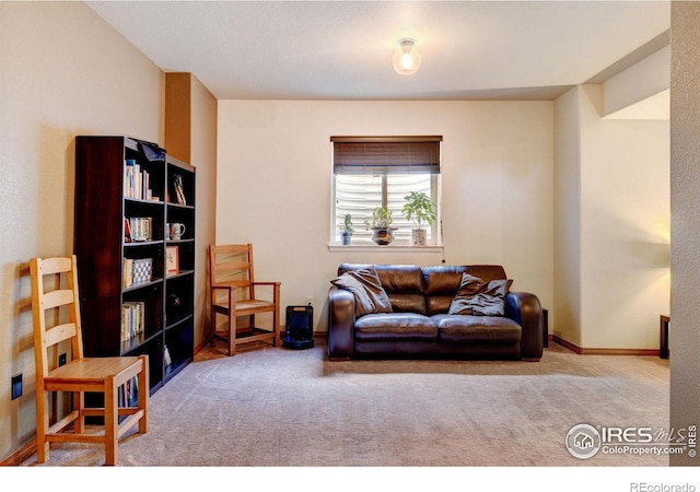 living room with light carpet