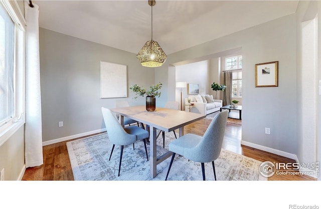 dining area with hardwood / wood-style floors