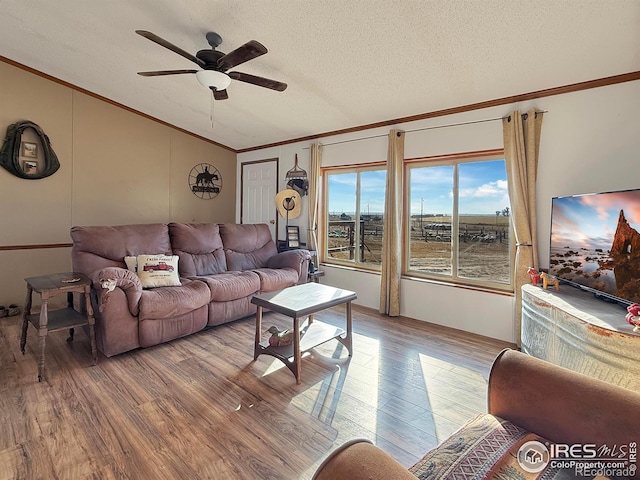 living room with ceiling fan, light hardwood / wood-style flooring, crown molding, and a textured ceiling