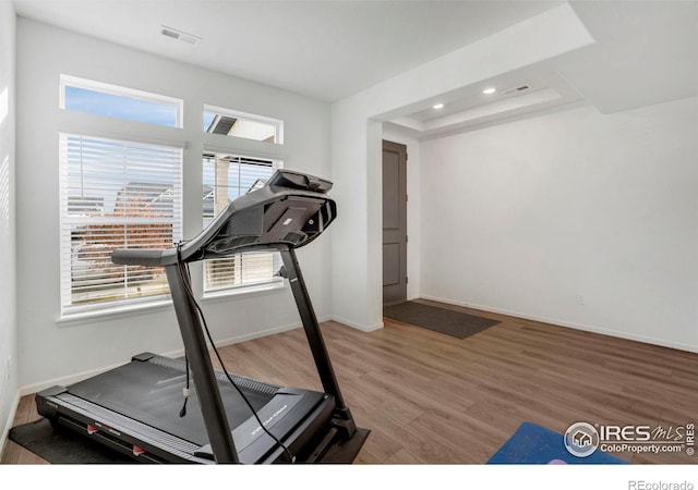 exercise area with a raised ceiling, a healthy amount of sunlight, and wood-type flooring