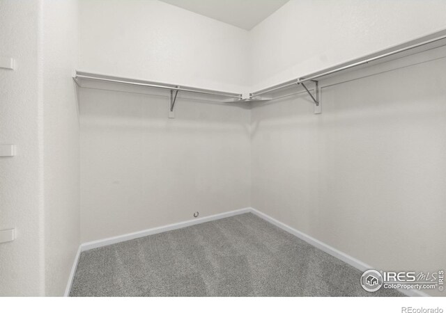 walk in closet with carpet