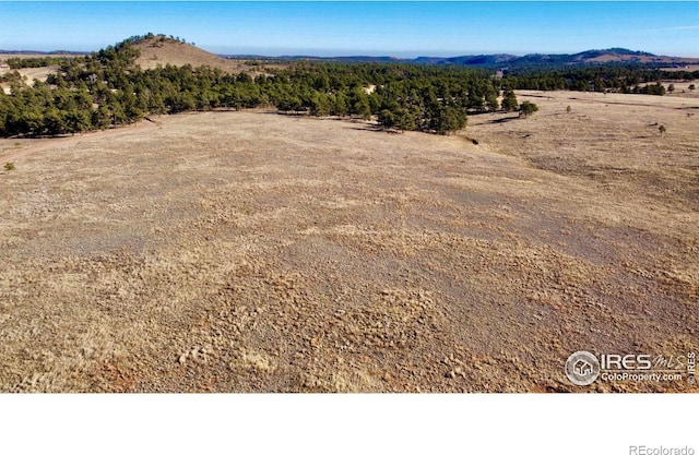 0 Walno Ave, Livermore, CO 80536 - photo 6