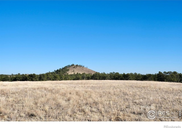 0 Walno Ave, Livermore, CO 80536 - photo 21