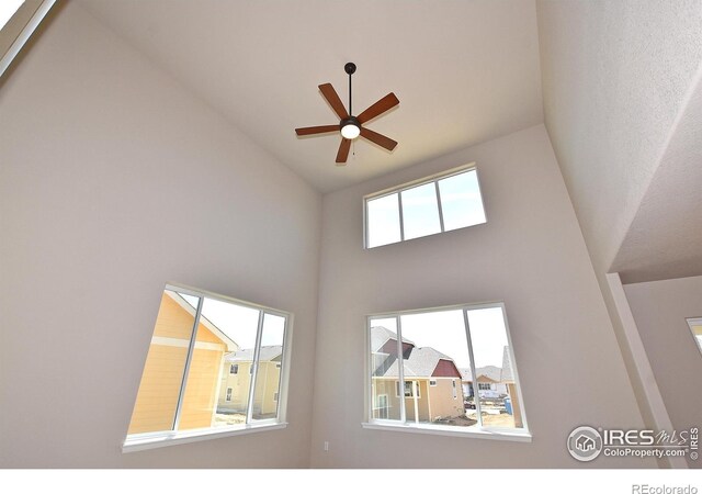 708 85th Avenue Ct, Greeley, CO 80634 - photo 11