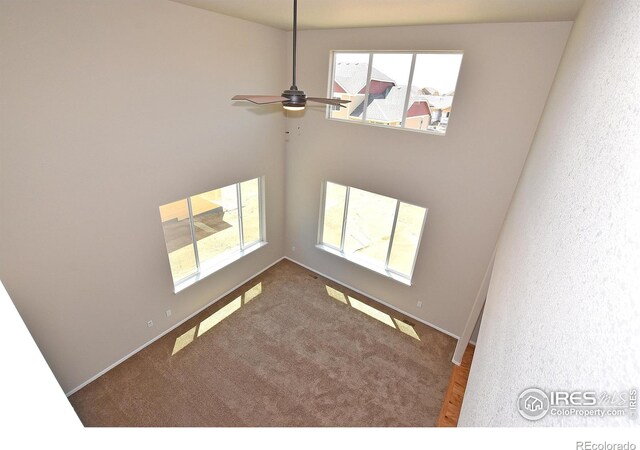708 85th Avenue Ct, Greeley, CO 80634 - photo 15