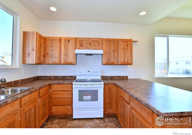 kitchen featuring a sink, under cabinet range hood, a healthy amount of sunlight, and electric stove