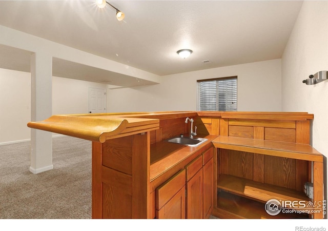 kitchen featuring sink and carpet