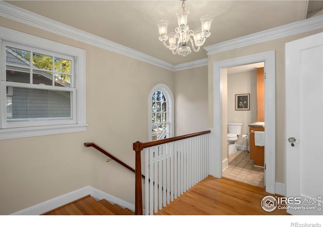 staircase with wood-type flooring, ornamental molding, and an inviting chandelier