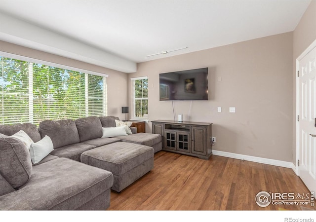 living room featuring hardwood / wood-style flooring