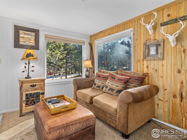 living room featuring wooden walls and carpet floors