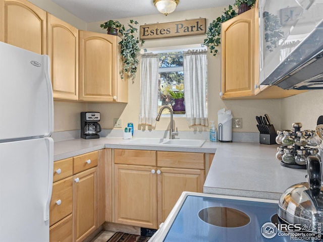 kitchen featuring white refrigerator, sink, and light brown cabinets